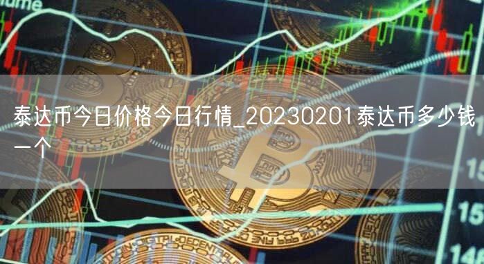 泰达币今日价格今日行情_20230201泰达币多少钱一个-第1张图片-binance下载