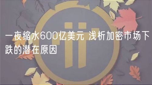 一夜缩水600亿美元 浅析加密市场下跌的潜在原因-第1张图片-欧易下载 一夜缩水600亿美元 浅析加密市场下跌的潜在原因-第1张图片-欧易下载
