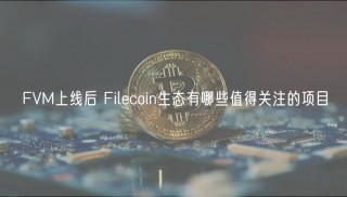 FVM上线后 Filecoin生态有哪些值得关注的项目