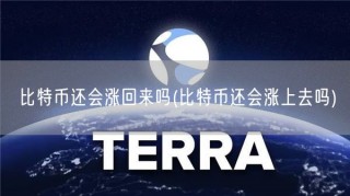 比特币还会涨回来吗 _ 比特币还会涨上去吗
