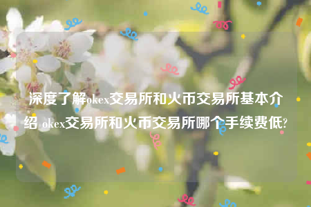欧意下载最新官方app-深度了解ok 交易平台和火币 交易平台基本介绍 ok 交易平台和火币 交易平台哪个手续费低-第1张图片-binance下载