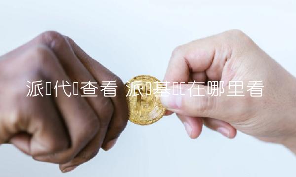 派币代码查看 派币基础币在哪里看-第1张图片-binance下载