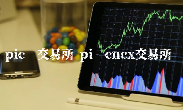 pic币交易所 pi币cnex交易所-第1张图片-binance下载