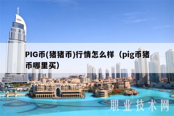 PIG币 - 猪猪币行情怎么样（pig币猪币哪里买-第1张图片-binance下载