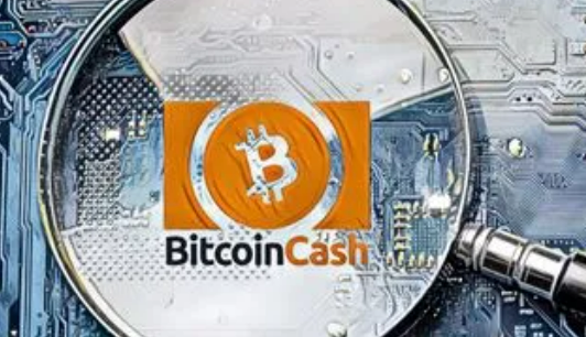 CORB币什么时候上主网?corb币上主网后价格多少钱一枚?-第3张图片-binance下载 CORB币什么时候上主网?corb币上主网后价格多少钱一枚?-第3张图片-binance下载