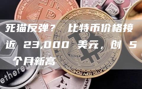 死猫反弹？ 比特币价格接近 23,000 美元，创 5 个月新高-第1张图片-binance下载