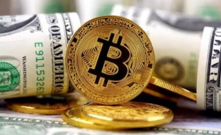 货币交易平台app下载_数字平台有哪些