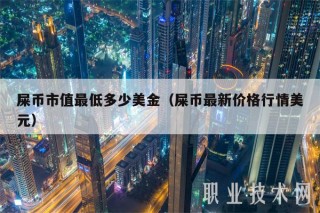 屎币市值最低多少美金（屎币最新价格行情美元