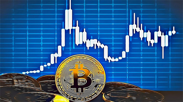比特币硬件钱包能储存其它币种吗？常见硬件钱包盘点-第1张图片-欧易下载
