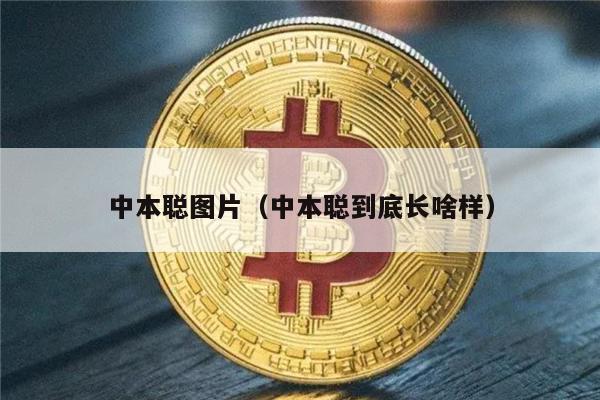 中本聪图片（中本聪到底长啥样）-第1张图片-binance下载