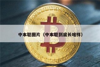 中本聪图片（中本聪到底长啥样）