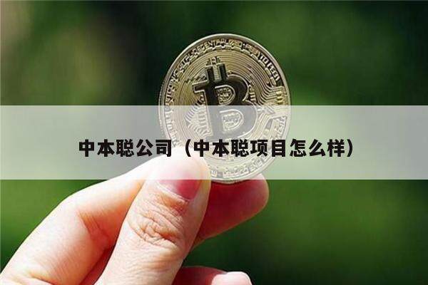 中本聪公司（中本聪项目怎么样）-第1张图片-binance下载