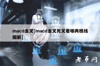 macd金叉[macd金叉死叉看哪两根线图解]