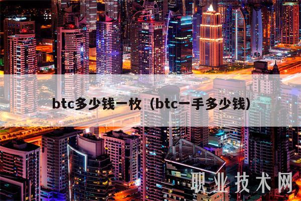 btc多少钱一枚（btc一手多少钱-第1张图片-binance下载