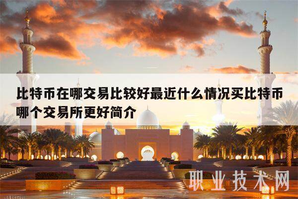 比特币在哪交易比较好最近什么情况买比特币哪个交易所更好简介-第1张图片-欧易下载