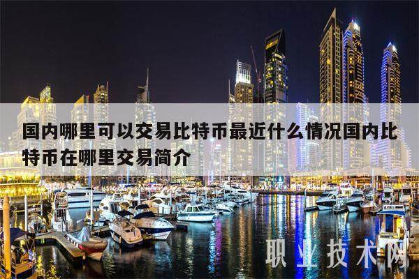 国内哪里可以交易比特币最近什么情况国内比特币在哪里交易简介-第1张图片-欧易下载