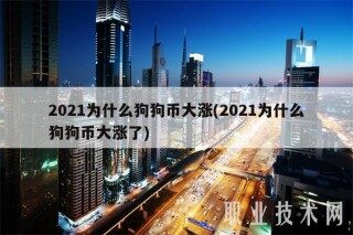 2021为什么狗狗币大涨 _ 2021为什么狗狗币大涨了