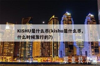 KISHU是什么币 _ kishu是什么币,什么时候发行的?