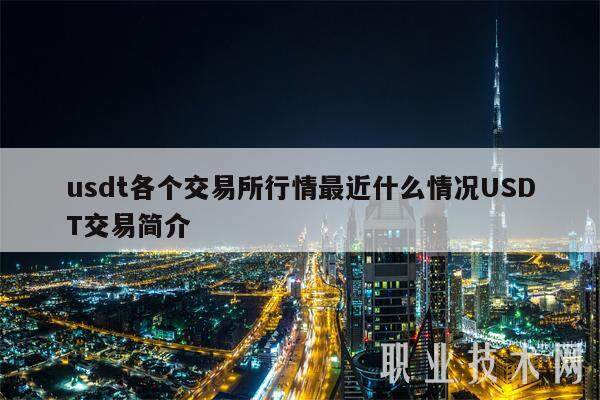 usdt各个交易所行情最近什么情况USDT交易简介-第1张图片-binance下载 usdt各个交易所行情最近什么情况USDT交易简介-第1张图片-binance下载