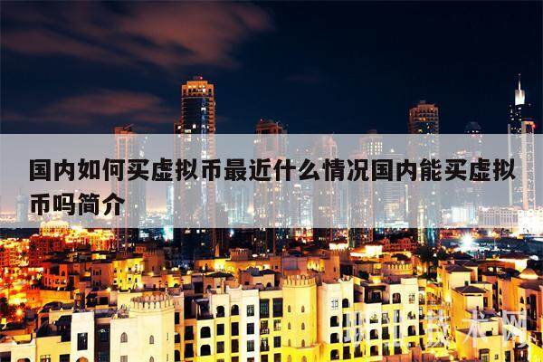 国内如何买虚拟币最近什么情况国内能买虚拟币吗简介-第1张图片-binance下载
