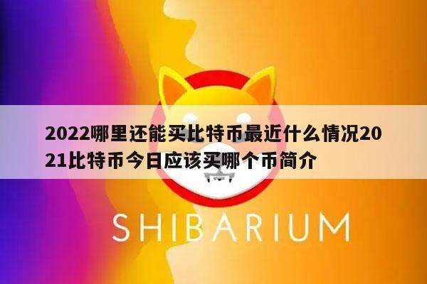 2022哪里还能买比特币最近什么情况2021比特币今日应该买哪个币简介-第1张图片-binance下载