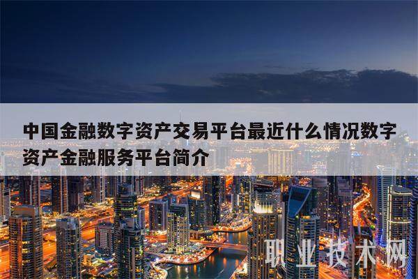 中国金融数字资产交易平台最近什么情况数字资产金融服务平台简介-第1张图片-binance下载