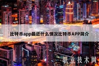 比特币app最近什么情况比特币APP简介