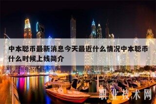中本聪币最新消息今天最近什么情况中本聪币什么时候上线简介