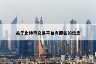 关于比特币交易平台有那些的信息