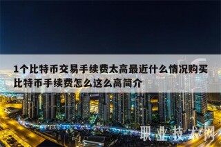 1个比特币交易手续费太高最近什么情况购买比特币手续费怎么这么高简介