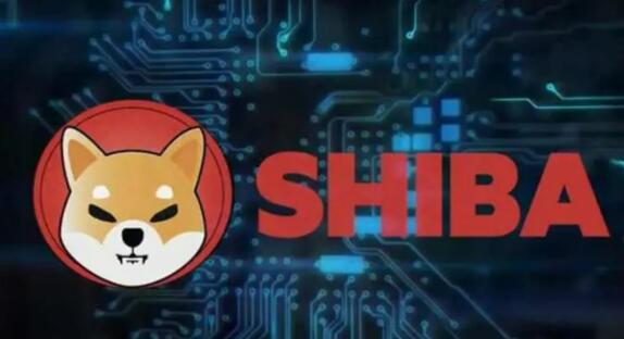 狗狗币和柴犬币哪个更有未来(狗狗币和柴犬币哪个更有未来潜力)