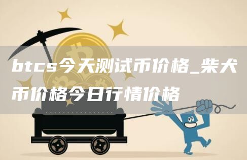 btcs今天测试币价格_柴犬币价格今日行情价格
