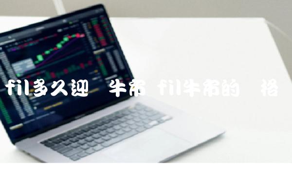 fil多久迎来牛市 fil牛市的价格