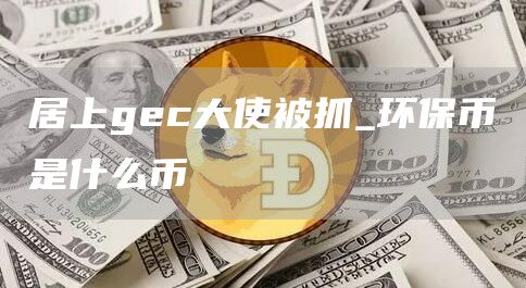 居上gc大使被抓_环保币是什么币