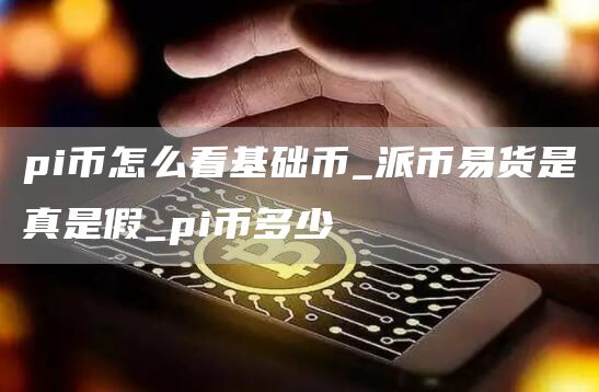 pi币怎么看基础币_派币易货是真是假_pi币多少