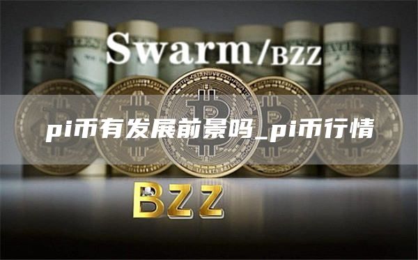pi币有发展前景吗_pi币行情