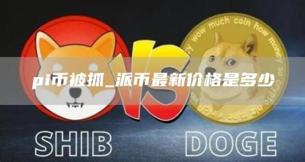 pi币被抓_派币最新价格是多少