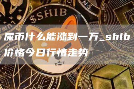 屎币什么能涨到一万_shib价格今日行情走势