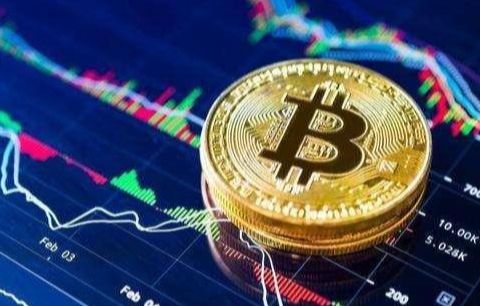 派币价格最新消息（派币今日价格行情走势）