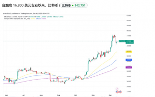 为什么比特币在土耳其、埃及、尼日利亚和阿根廷创下了历史新高？