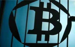 Arbitrum链上宠物PET爆火！采用PET、BPET双代币模式