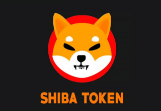 SHIB前五名持有者是谁？