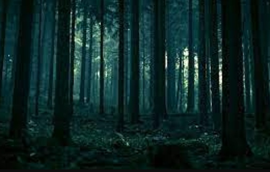 比特币中线剧情猜想:牛市周期确立 回调即为机会-第1张图片-binance下载 比特币中线剧情猜想:牛市周期确立 回调即为机会-第1张图片-binance下载