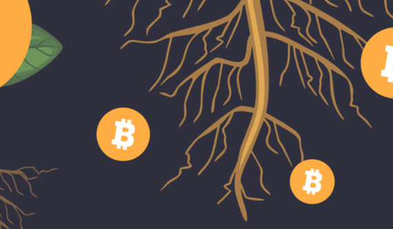 比特币生态铭文热度未必能持续-第1张图片-欧易下载