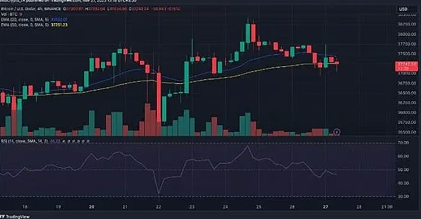 80%的BTC钱包都赚了，比特币真的进入新牛市了？-第6张图片-binance下载