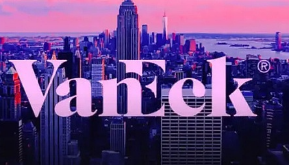 比特币未来不一定涨？听听VanEck怎么说-第2张图片-binance下载