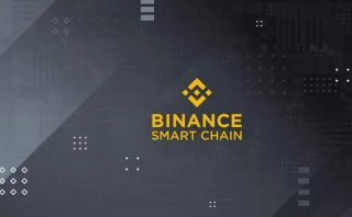 BIAN调查：近一半用户靠加密币获取收益