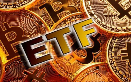 Swan CEO：ETF、减半、升级——2024年比特币的预期-第1张图片-binance下载