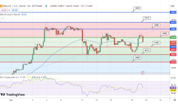 随着BTC上涨5.30%至43000美元　能否持续这种增长？-第2张图片-binance下载